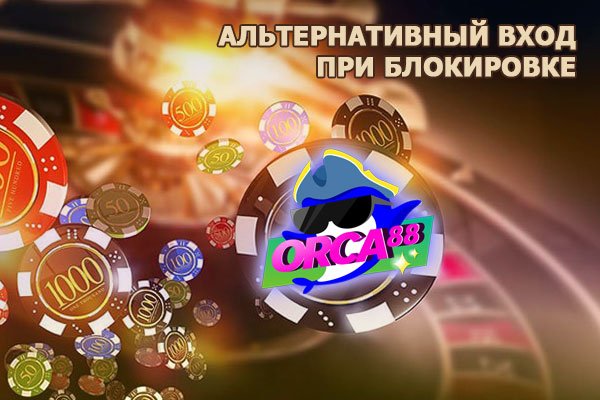 Даркнет кракен отзывы о платформе
