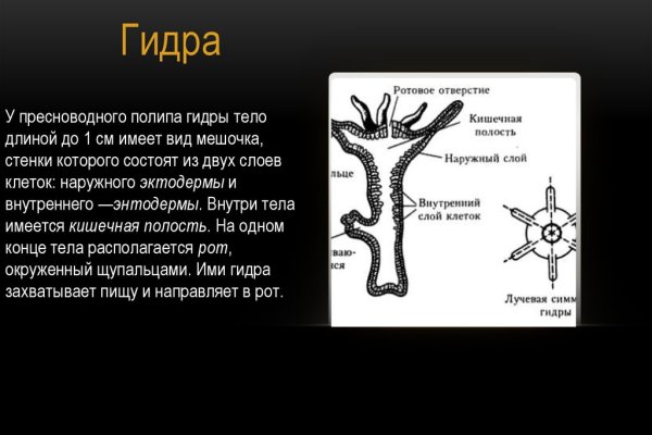 Кракен даркнет лол