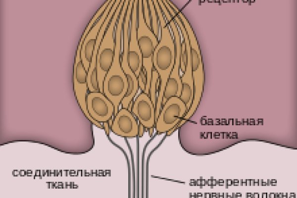 Кракен 15at