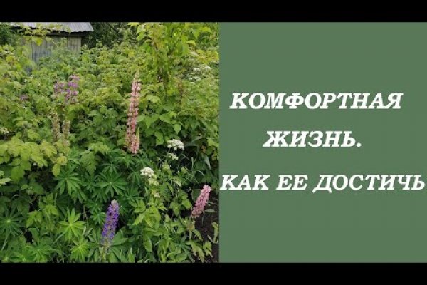 Как зайти на кракен с телефона андроид