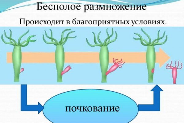 Кракен магазин наркотиков