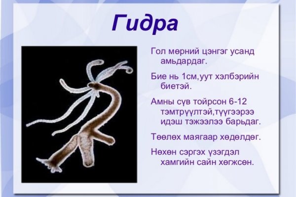 Как зарегистрироваться на кракене