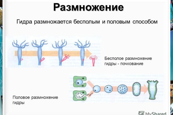 Как попасть на сайт кракен