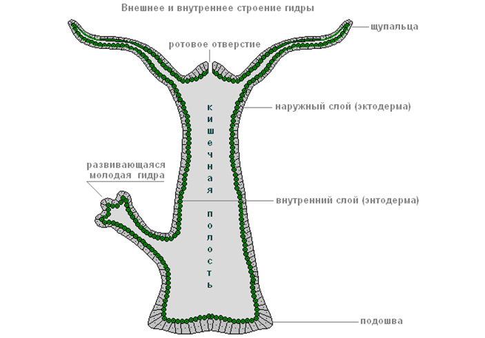 Кракен маркет что это