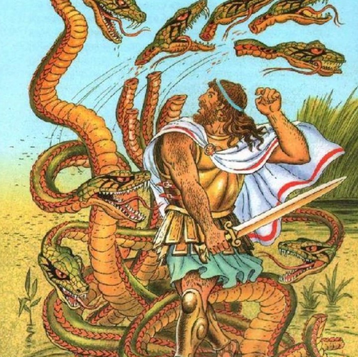 Kraken18 at