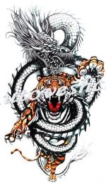 "Дракон с тигром"